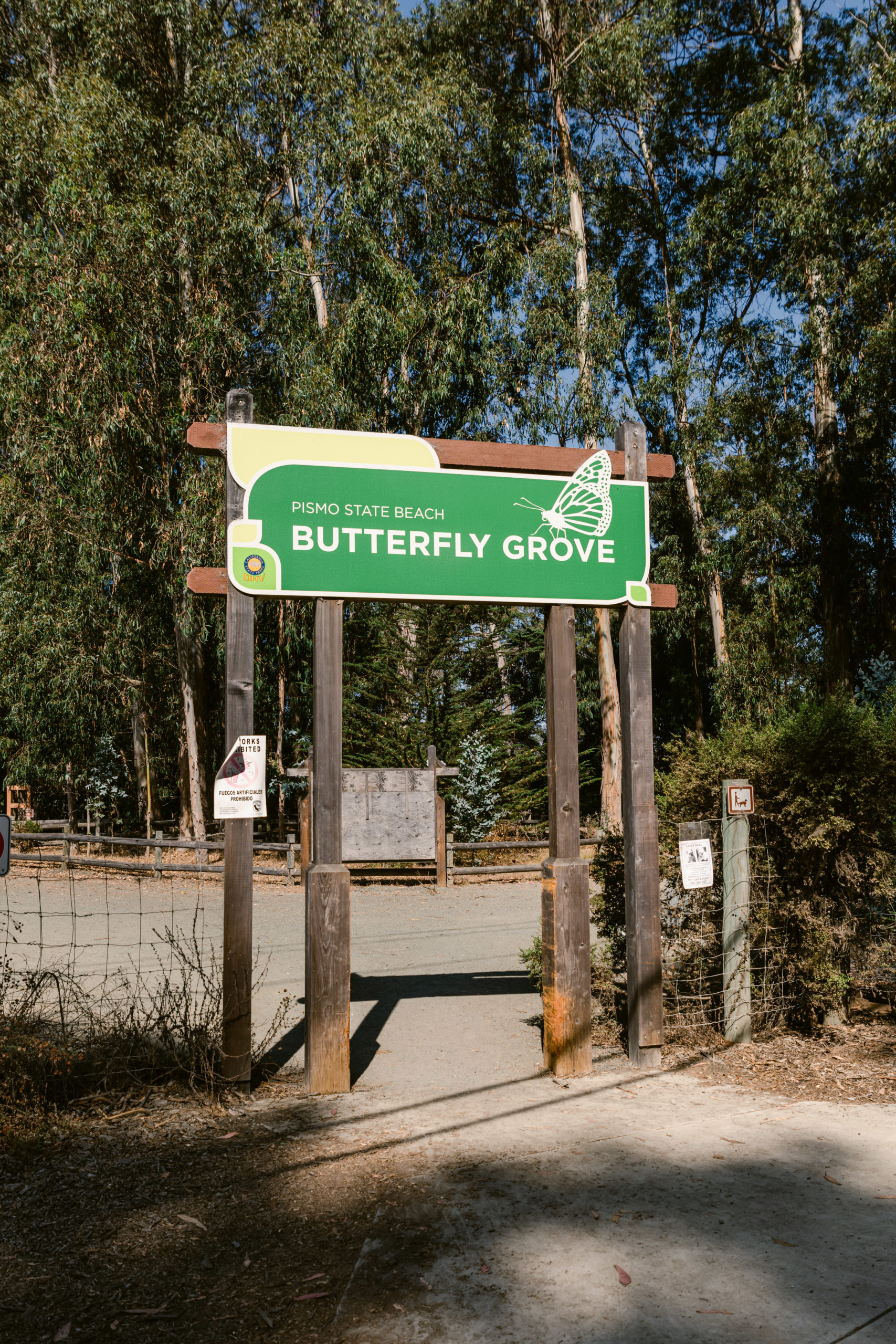 Monarch Butterfly Grove Things to do in Pismo Beach with Kids