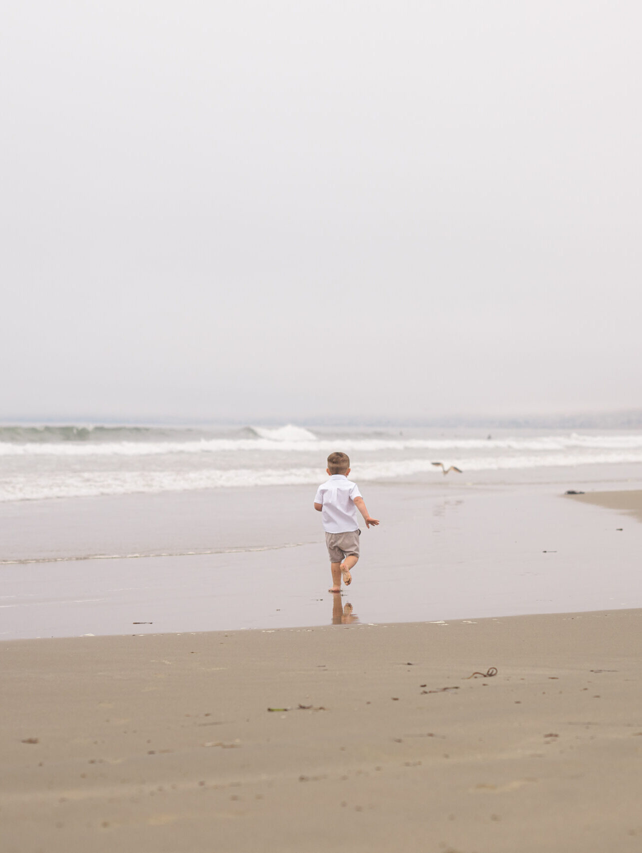 Best Spring Break Activities in San Luis Obispo for Families & Visitors